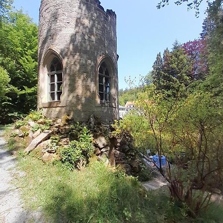 Rapunzel Trifft Dornroeschen Villa Rosenthal-Bielatal Buitenkant foto