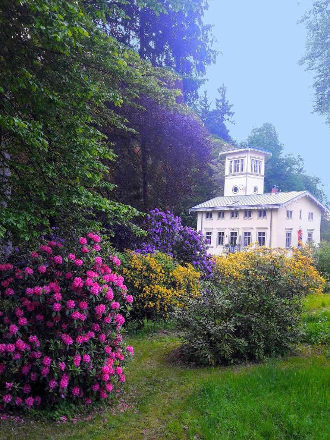 Rapunzel Trifft Dornroeschen Villa Rosenthal-Bielatal Buitenkant foto