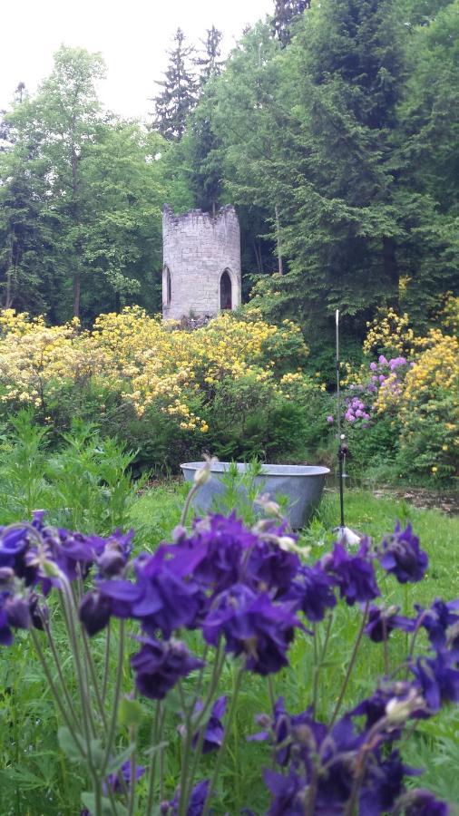 Rapunzel Trifft Dornroeschen Villa Rosenthal-Bielatal Buitenkant foto
