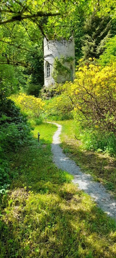 Rapunzel Trifft Dornroeschen Villa Rosenthal-Bielatal Buitenkant foto