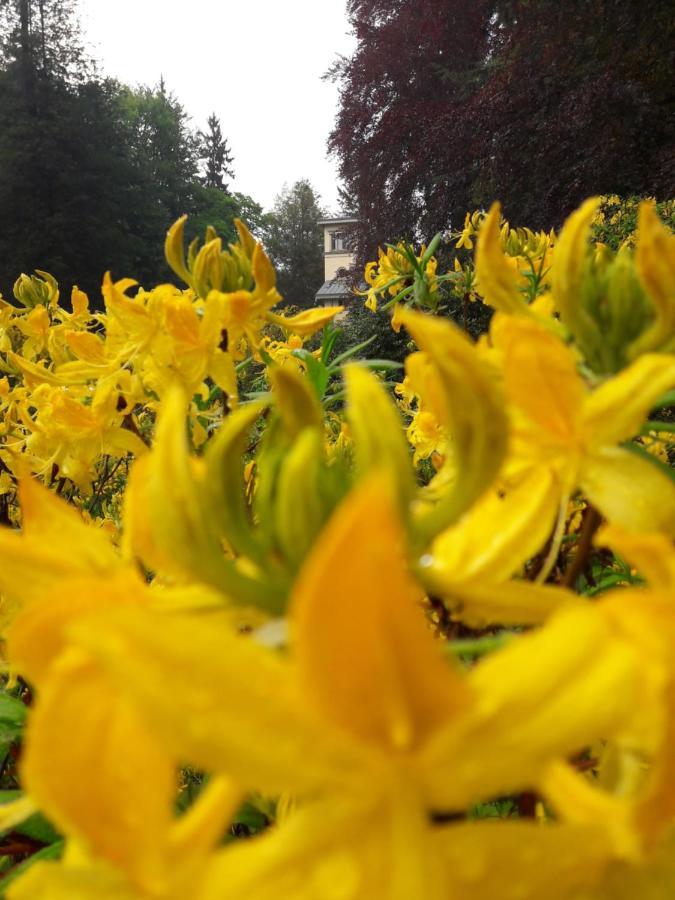 Rapunzel Trifft Dornroeschen Villa Rosenthal-Bielatal Buitenkant foto