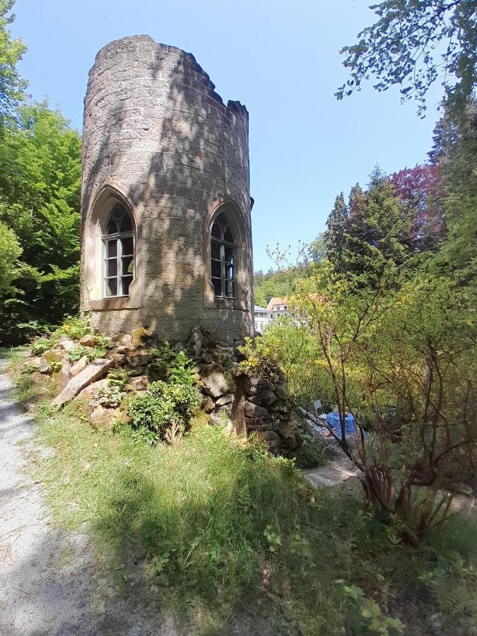 Rapunzel Trifft Dornroeschen Villa Rosenthal-Bielatal Buitenkant foto