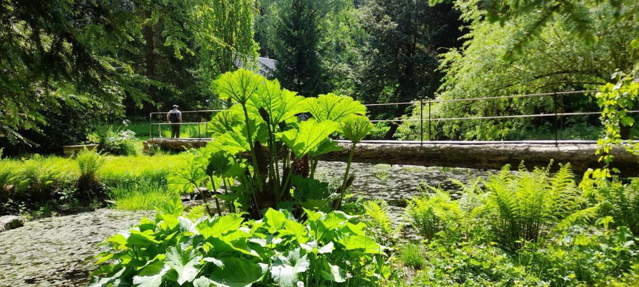 Rapunzel Trifft Dornroeschen Villa Rosenthal-Bielatal Buitenkant foto