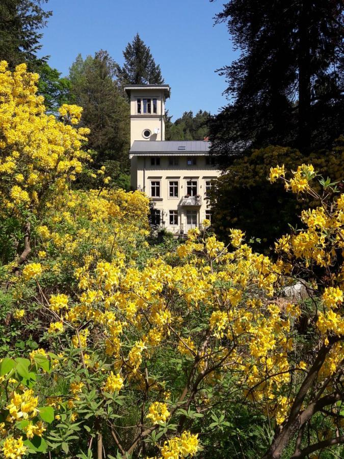 Rapunzel Trifft Dornroeschen Villa Rosenthal-Bielatal Buitenkant foto