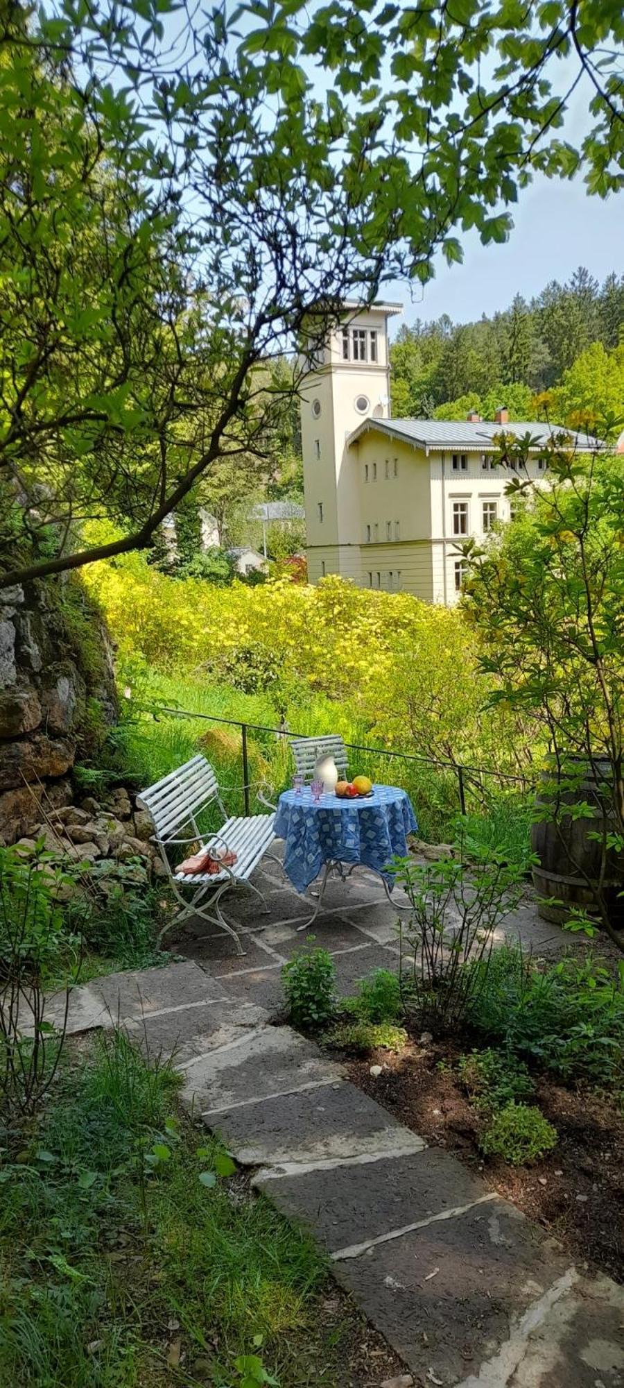 Rapunzel Trifft Dornroeschen Villa Rosenthal-Bielatal Buitenkant foto